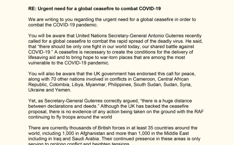  Urgent need for a global ceasefire to combat COVID-19