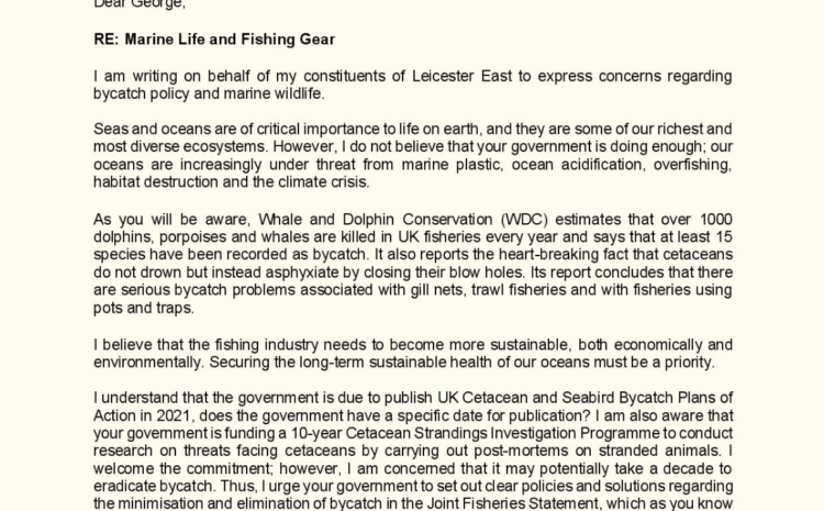  Marine Life and Fishing Gear