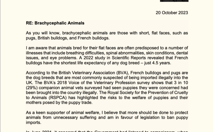  Brachycephalic Animals