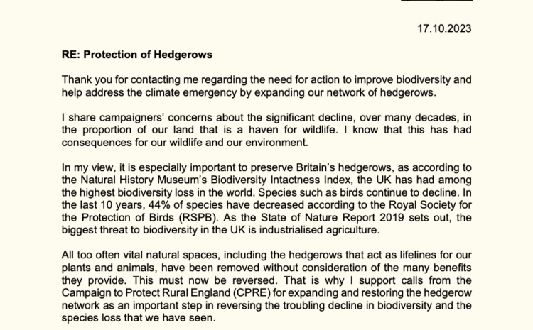  Protection of Hedgerows