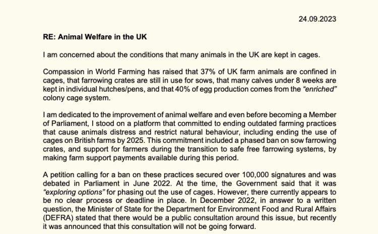  Animal Welfare in the UK